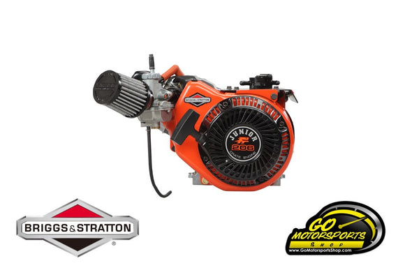 GO Kart | Briggs & Stratton Jr LO206 Engine 124332-8202