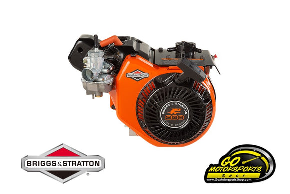 GO Kart | Briggs & Stratton LO206 Engine 124332-8201