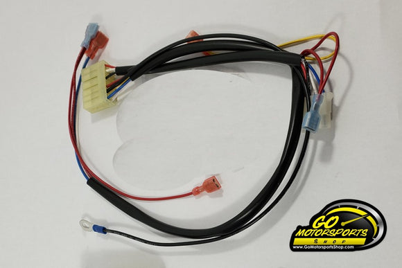 Ignitor Harness Only for 1250/1200 | Legend Car