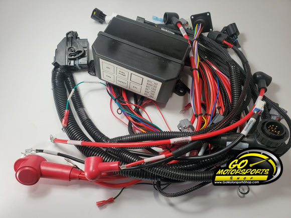 Wiring Harness for FZ09 | Legend Car - GO Motorsports Shop | Legend Car Parts Store