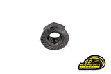 Rearend Stud Nut (Zinc Plated Or Black Oxide) | Legend Car - GO Motorsports Shop
